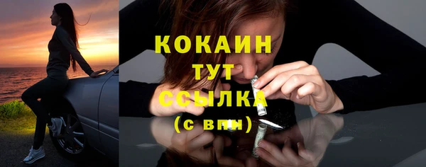 дживик Медвежьегорск