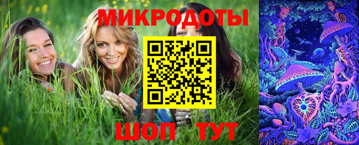 Псилоцибиновые грибы мицелий  Элиста  Псилоцибиновые грибы мицелий 