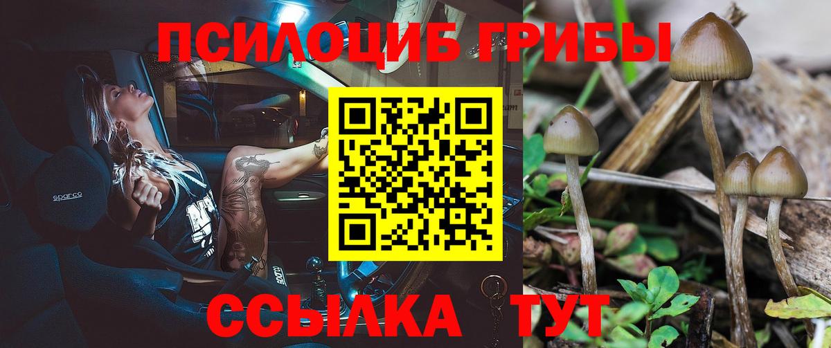 Галлюциногенные грибы GOLDEN TEACHER Элиста