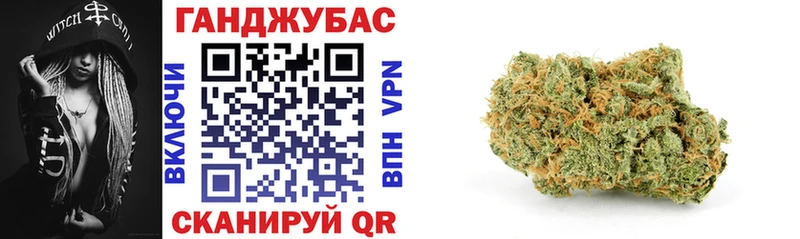 Шишки марихуана сатива  Элиста 